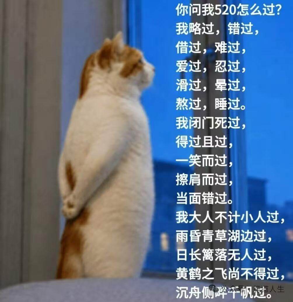 你问我520怎么过？我略过，错过，借过，难过，爱过，忍过，滑