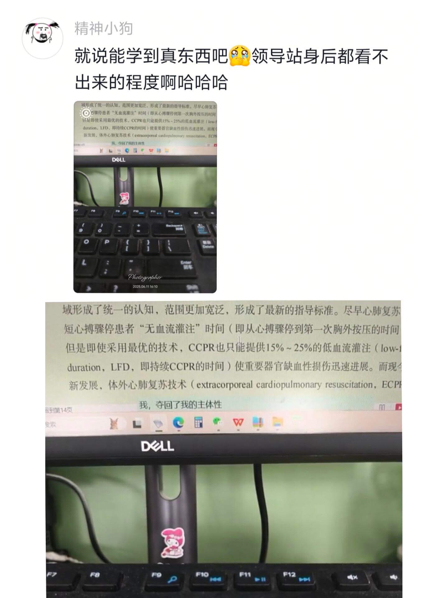 精神小狗就说能学到真东西吧领导站身后都看不出来的程度啊哈哈哈