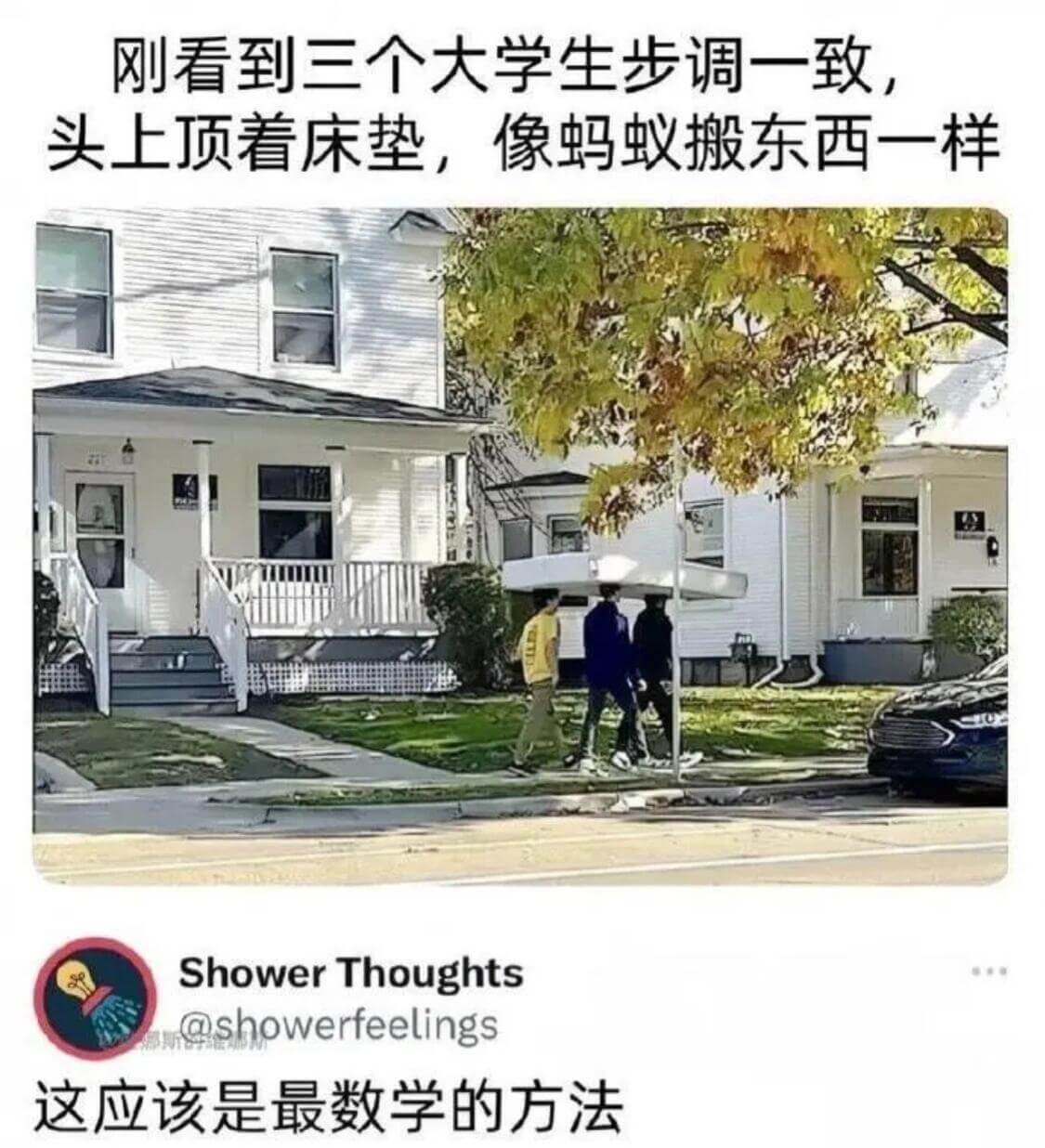 刚看到三个大学生步调一致头上顶着床垫，像蚂蚁搬东西一样Sho