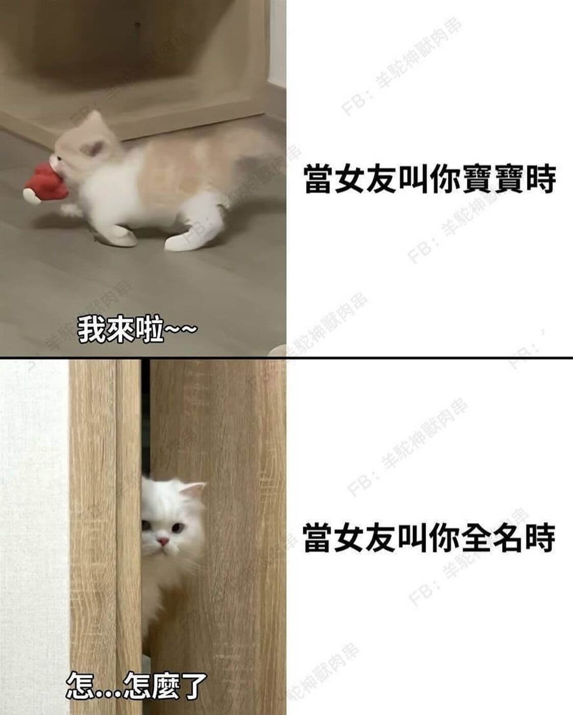 FB:羊神默肉串当女友叫你时FB：羊神我来啦~~神默肉串FB