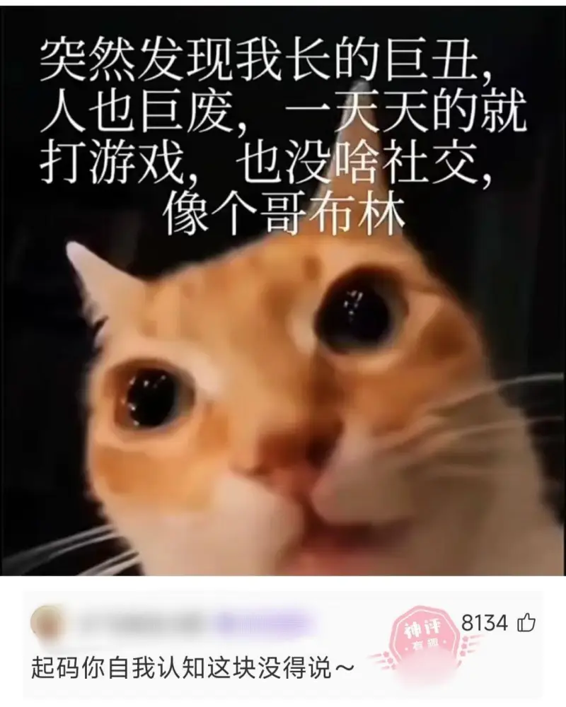突然发现我长的巨丑，人也巨废，一天天的就打游戏，也没啥社交，