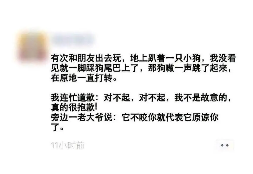 有次和朋友出去玩，地上趴着一只小狗，我没看见就一脚踩到狗尾巴