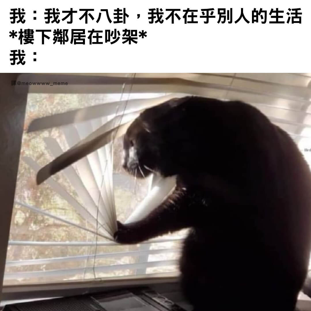 我:我才不八卦，我不在乎别人的生活。*楼下邻居在吵架*我:译