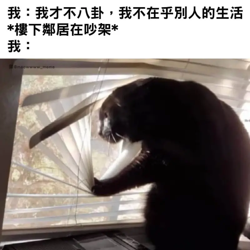 我:我才不八卦，我不在乎别人的生活。*楼下邻居在吵架*我:译