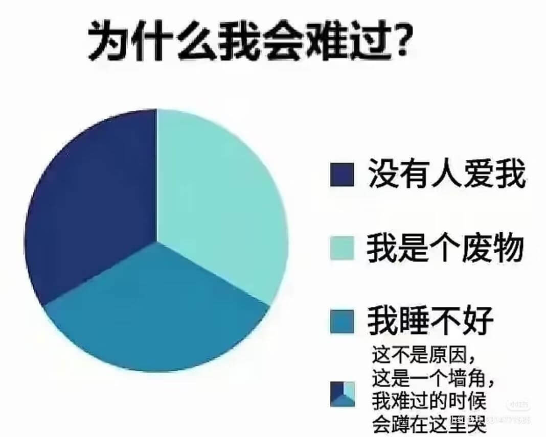 为什么我会难过?没有人爱我。我是个废物。我睡不好。这不是原因