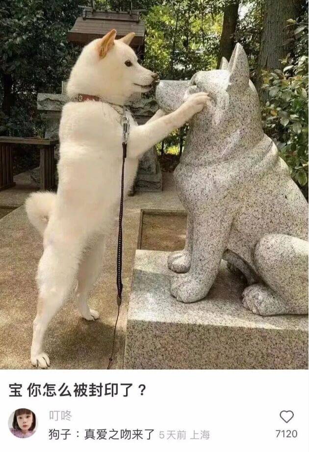 宝你怎么被封印了？叮咚！狗子：真爱之吻来了！5天前，上海。7