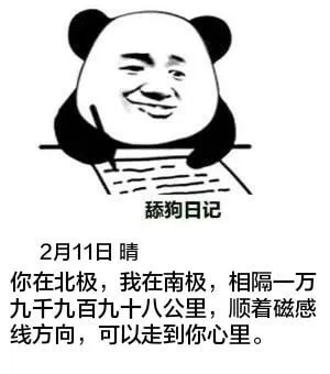 舔狗日记2月11日晴你在北极，我在南极，相隔一万九千九百九十