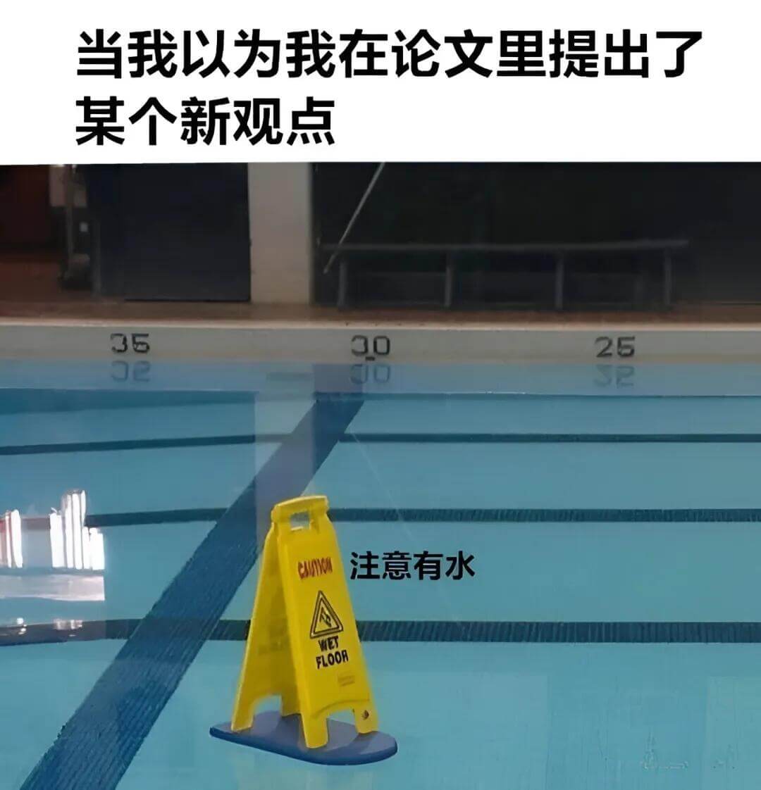 当我以为我在论文里提出了某个新观点注意有水WETFLOOR