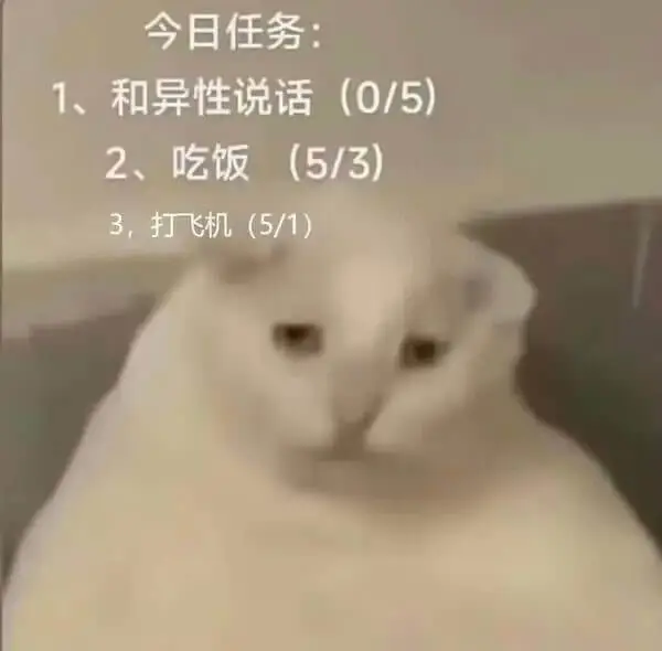 今日任务：1、和异性说话（0/5）2、吃饭（5/3）3、打飞