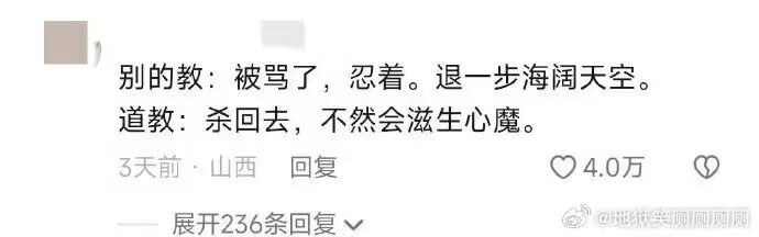 别的教：被骂了，忍着。退一步海阔天空。道教：杀回去，不然会滋