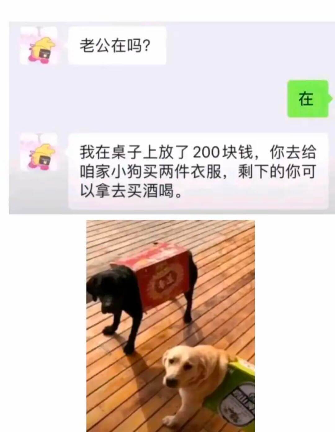 老公在吗？在。我在桌子上放了200块钱，你去给咱家小狗买两件