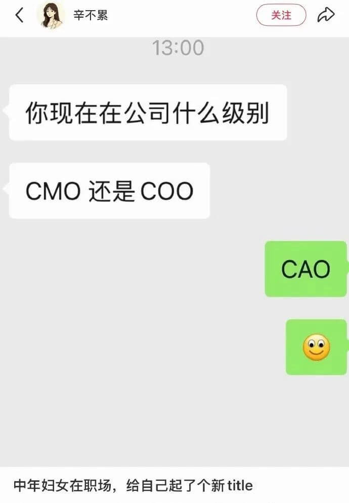 辛不累关注13:00你现在在公司什么级别？CMO还是COO？