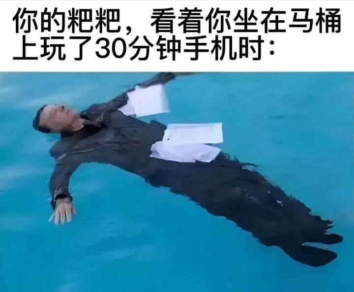 你的粑粑，看着你坐在马桶上玩了30分钟手机时: