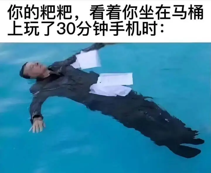 你的粑粑，看着你坐在马桶上玩了30分钟手机时: