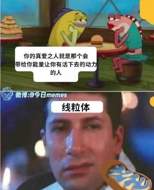 你的真爱之人就是那个会带给你能量让你有活下去的动力的人微博@