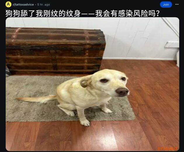 r/tattooadvice·5hr.agoJoin狗狗舔了