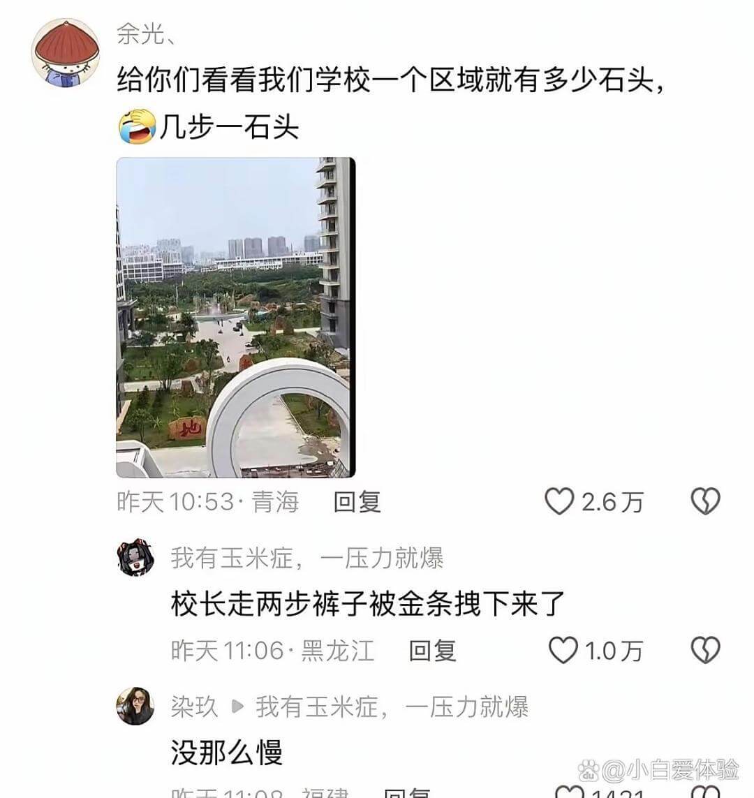 余光、给你们看看我们学校一个区域就有多少石头,几步一石头昨天