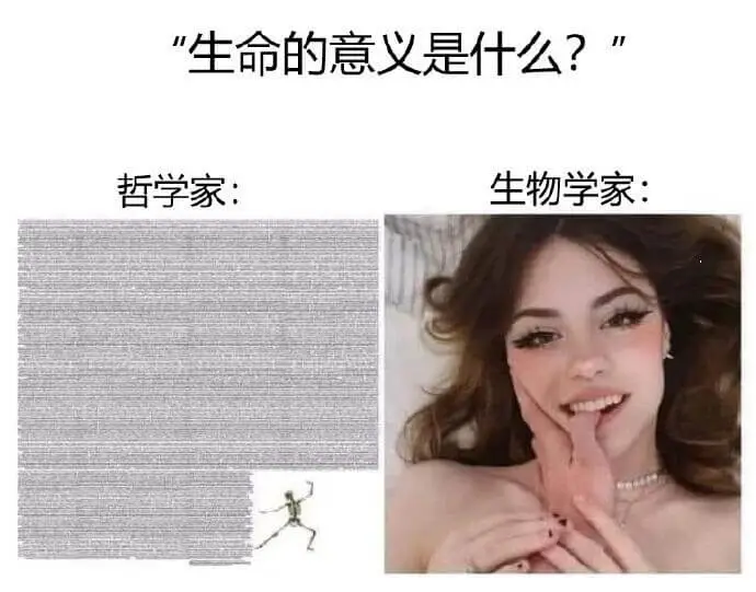 “生命的意义是什么？”哲学家：生物学家：