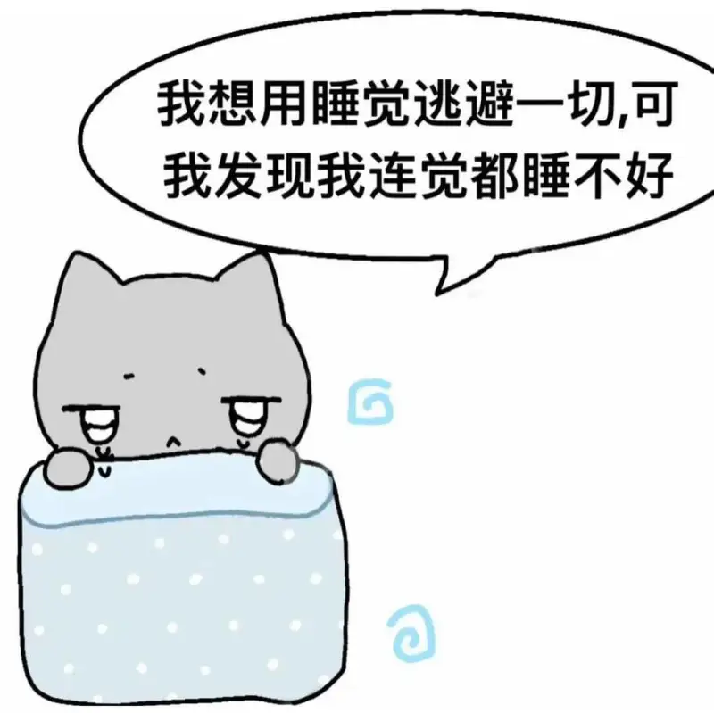 我想用睡觉逃避一切，可我发现我连觉都睡不好