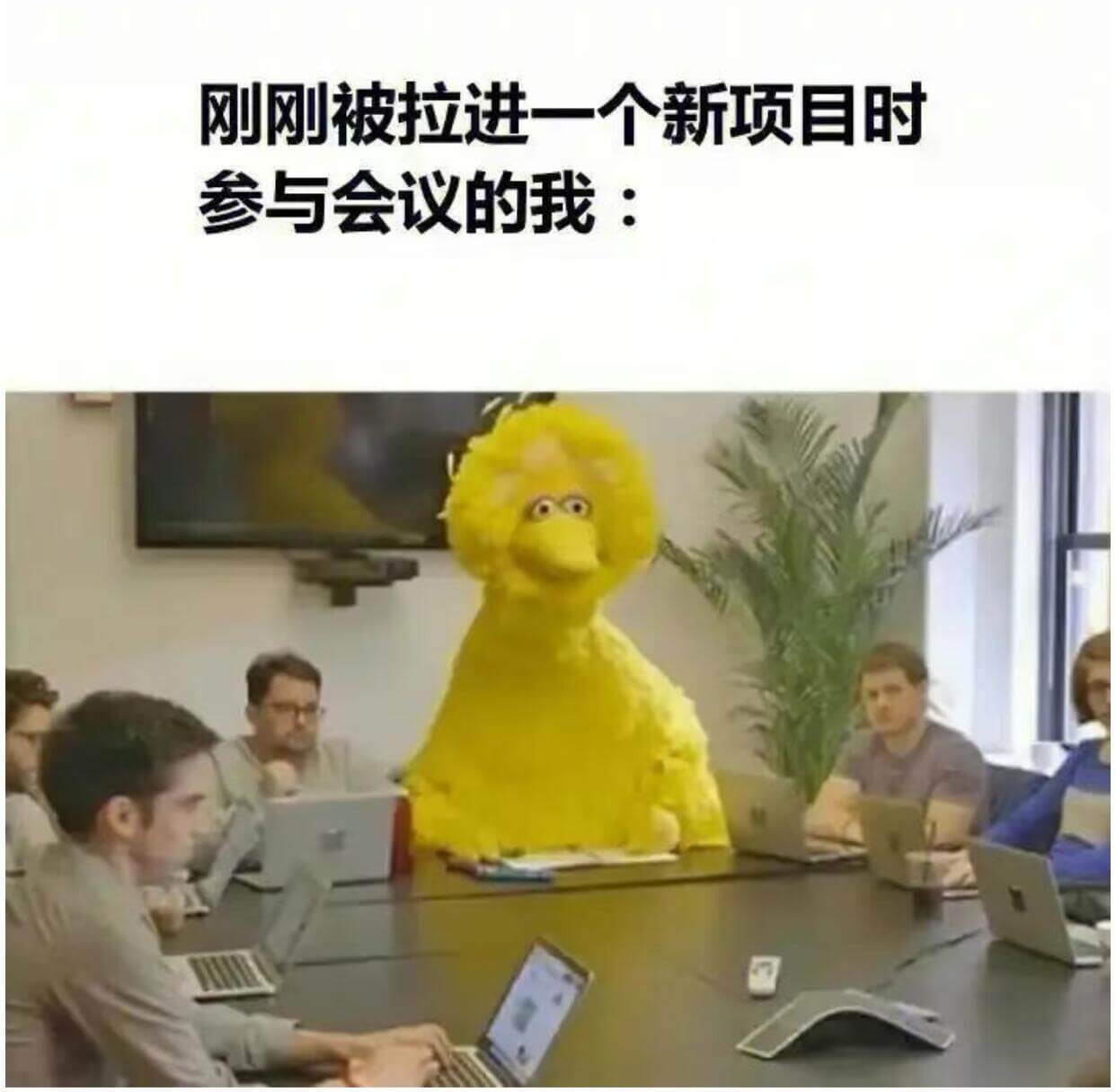 刚刚被拉进一个新项目时参与会议的我：
