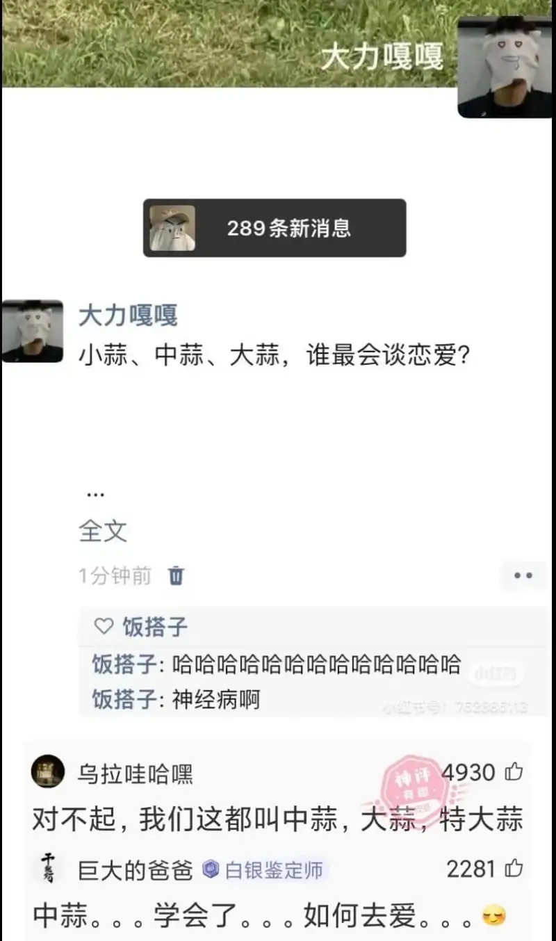 大力嘎嘎289条新消息大力嘎嘎小蒜、中蒜、大蒜，谁最会谈恋爱