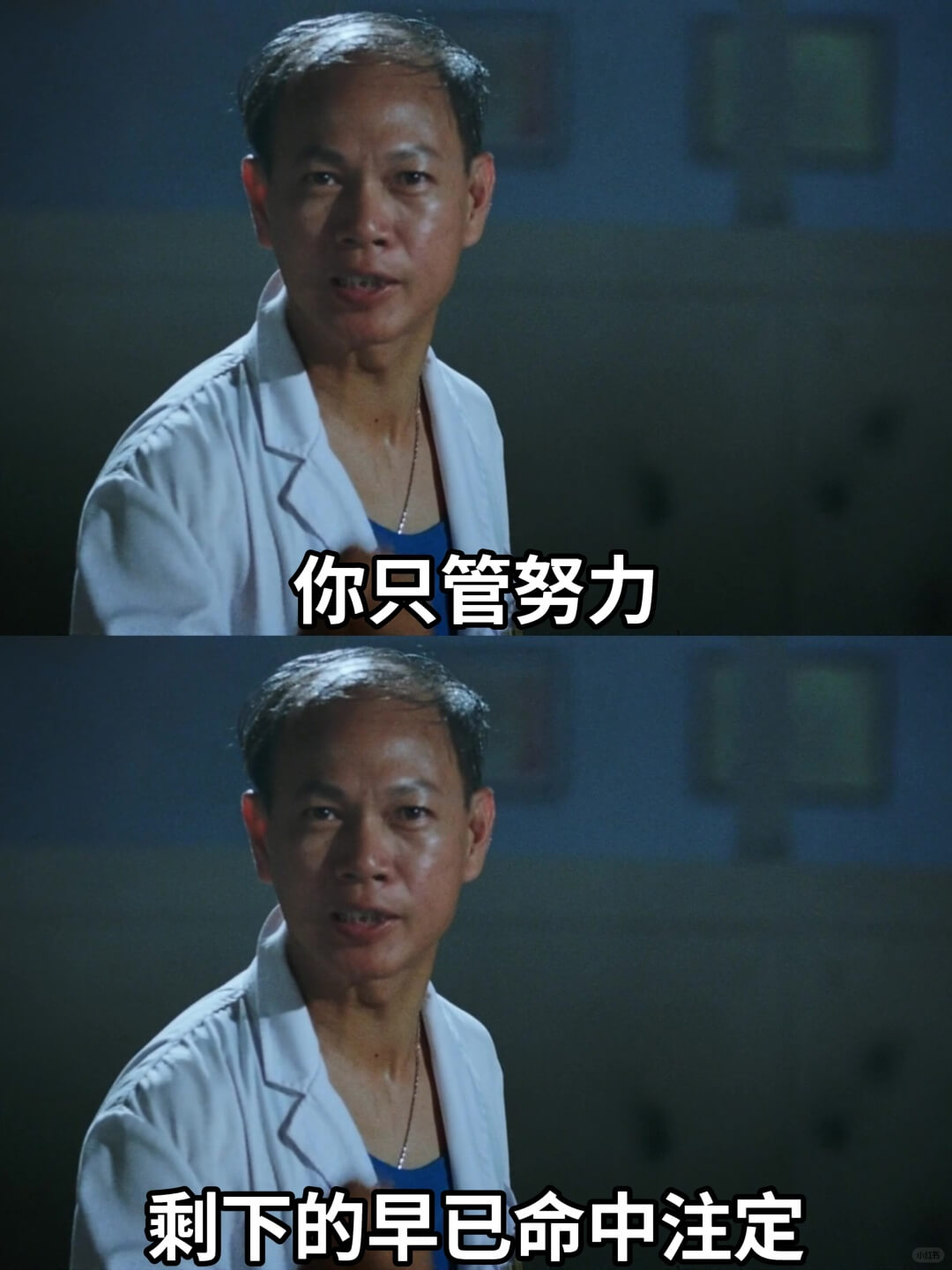 你只管努力剩下的早已命中注定