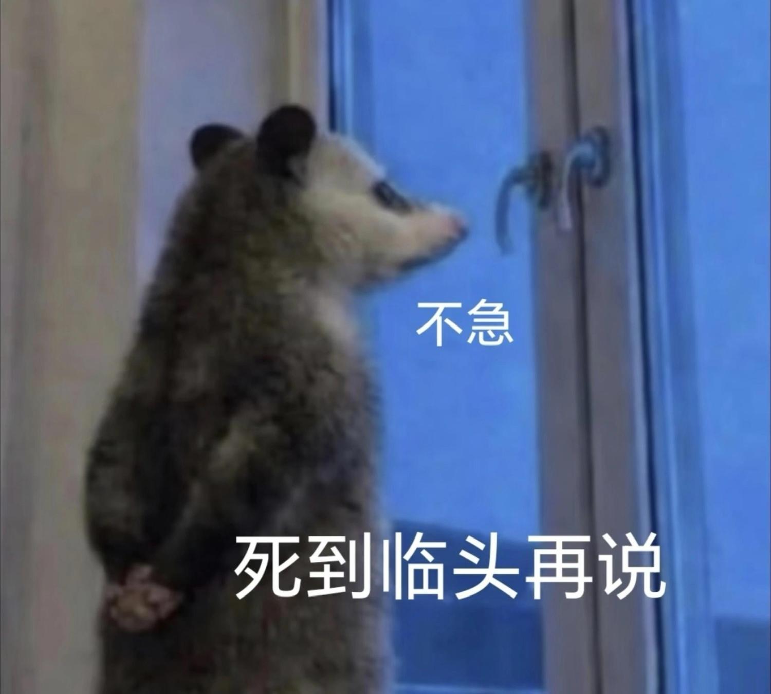 不急，死到临头再说。