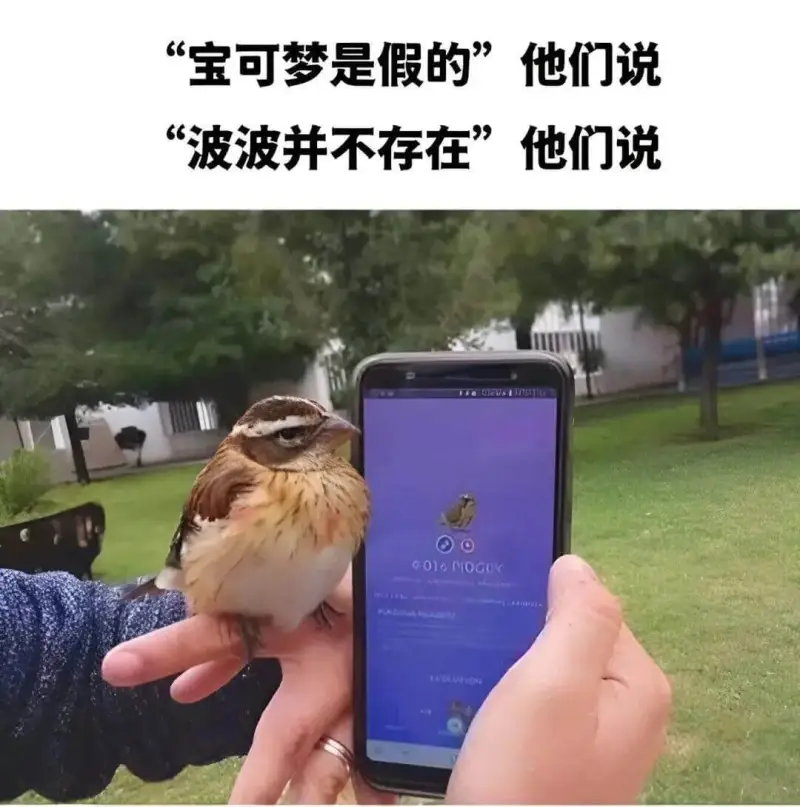 宝可梦是假的”他们说“波波并不存在”