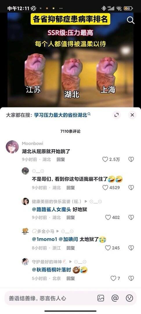 中午12:1130各省抑郁症患病率排名SSR级：压力最高每个