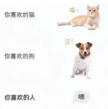 喵你喜欢的猫汪你喜欢的狗你喜欢的人嗯