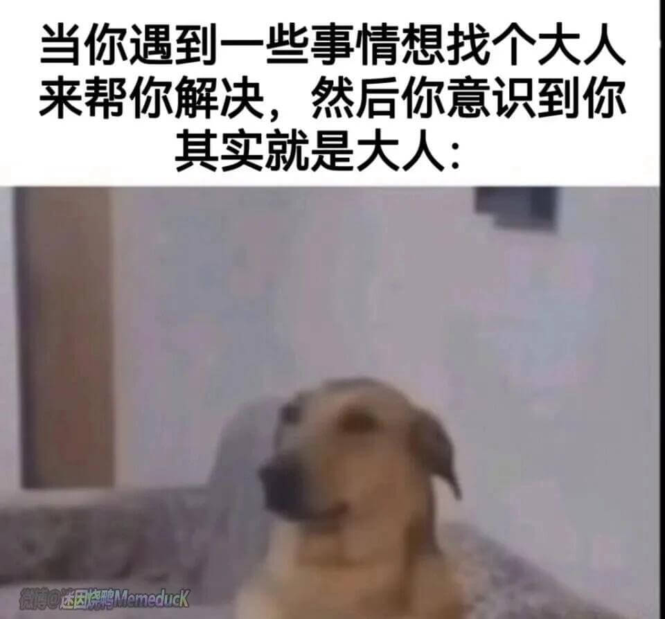 当你遇到一些事情想找个大人来帮你解决，然后你意识到你其实就是