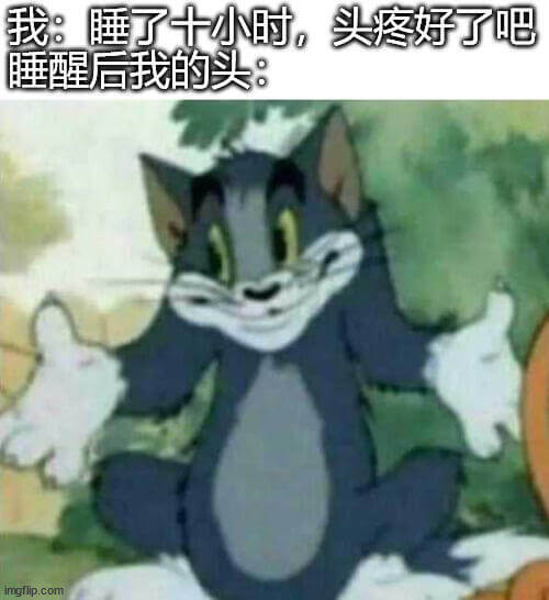 我：睡了十小时。头疼好了吧？睡醒后我的头：imgtlip.c