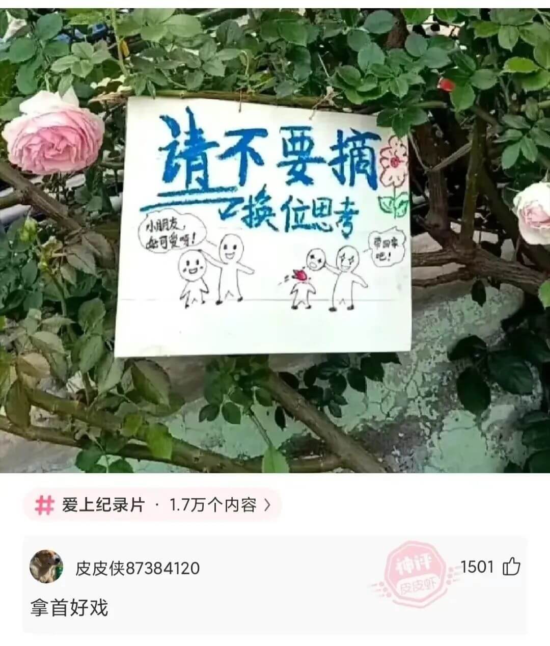 请不要摘已换位思考小月友每可受哦！国车开爱上纪录片：1.7万