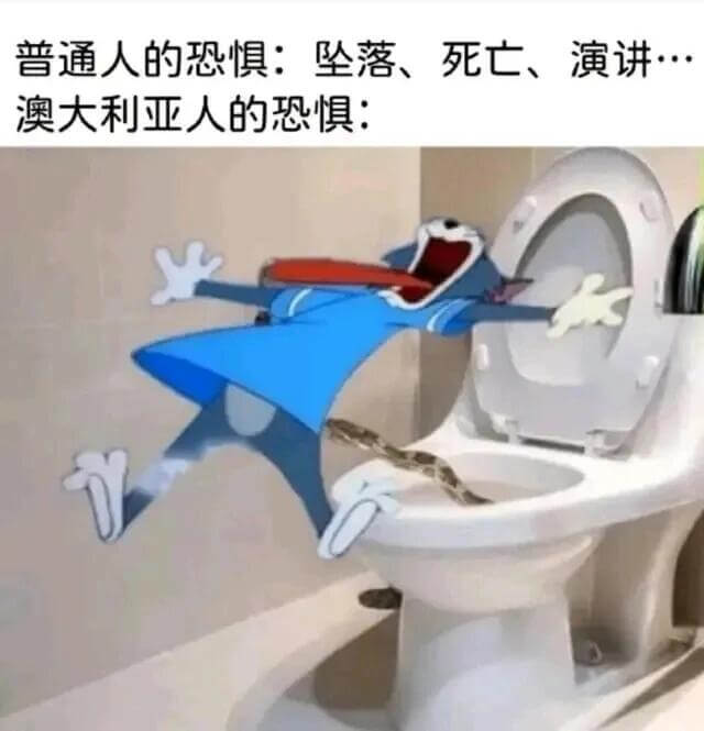 普通人的恐惧：坠落、死亡、演讲。澳大利亚人的恐惧：
