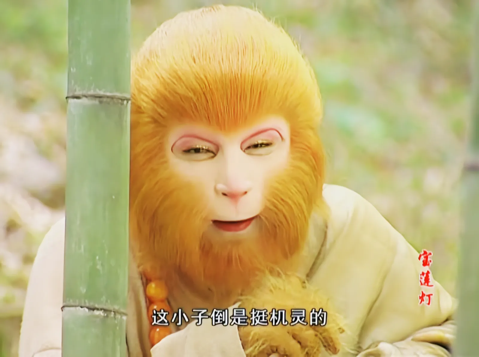 宝莲灯这小子倒是挺机灵的