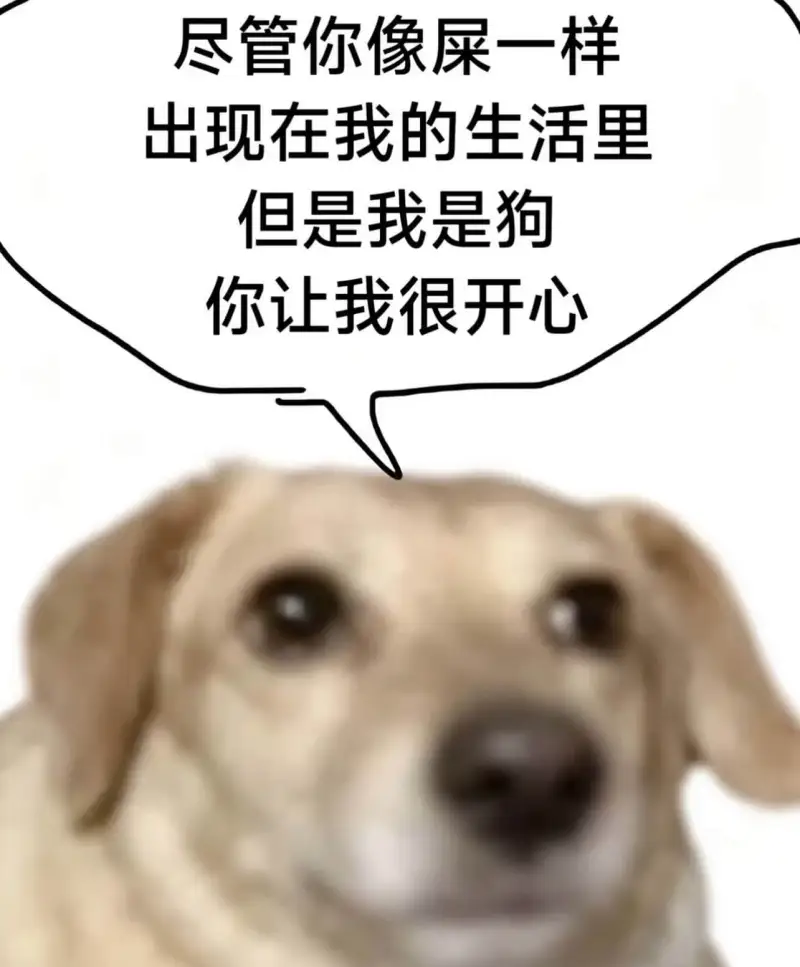 尽管你像屎一样出现在我的生活里，但是我是狗，你让我很开心。