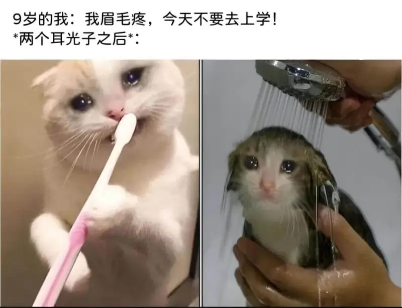 9岁的我：我眉毛疼，今天不要去上学！*两个耳光子之后*：