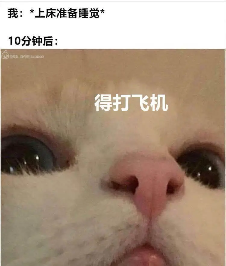 梗图