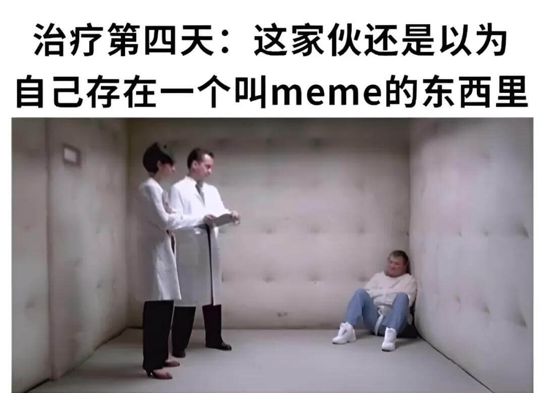 治疗第四天：这家伙还是以为自己存在一个叫meme的东西里