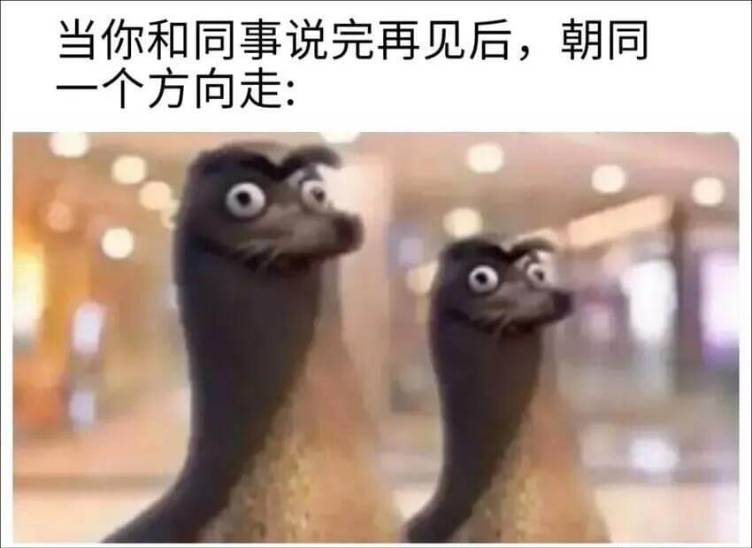 当你和同事说完再见后，朝同一个方向走：