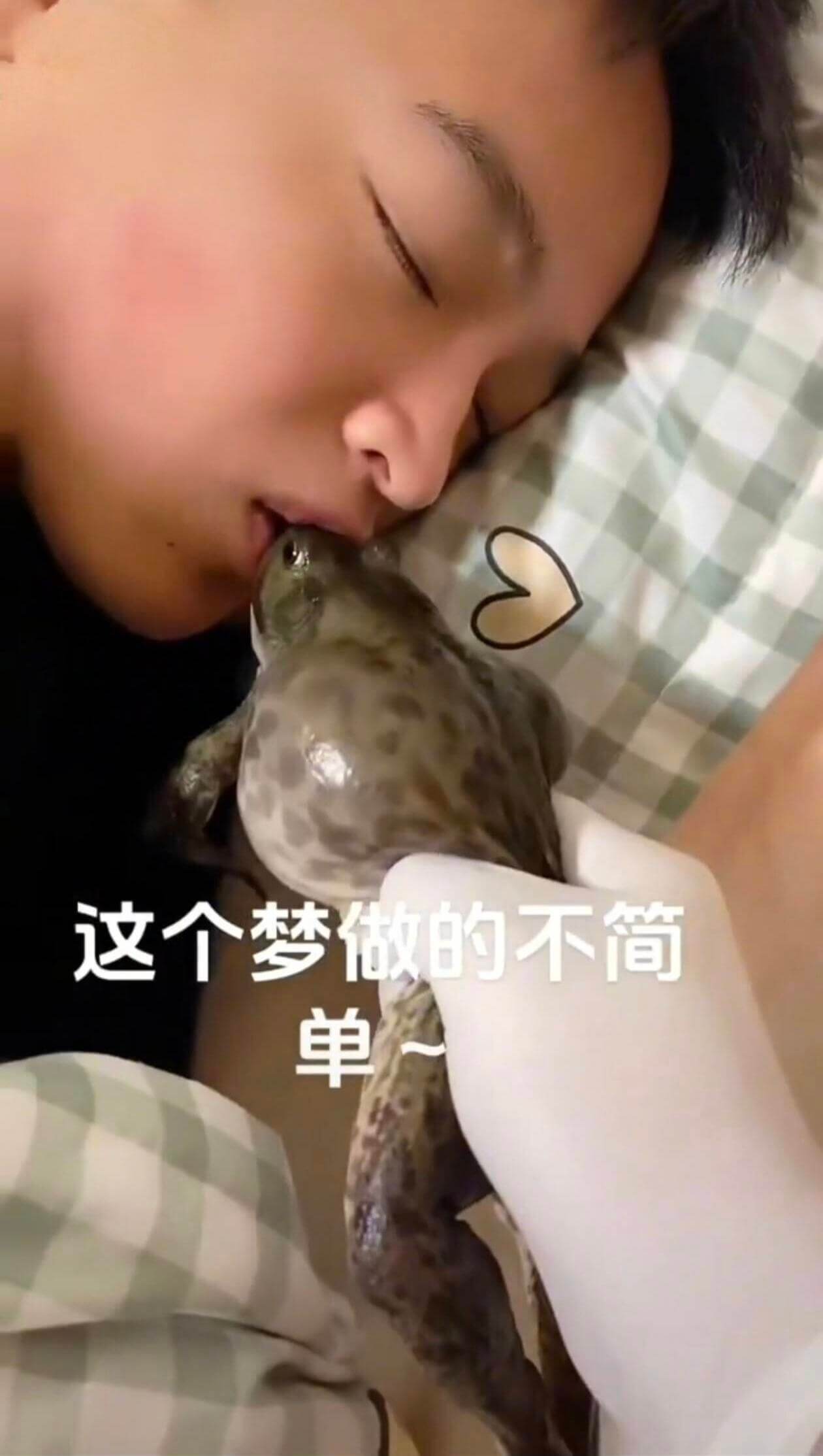 这个梦做的不简单