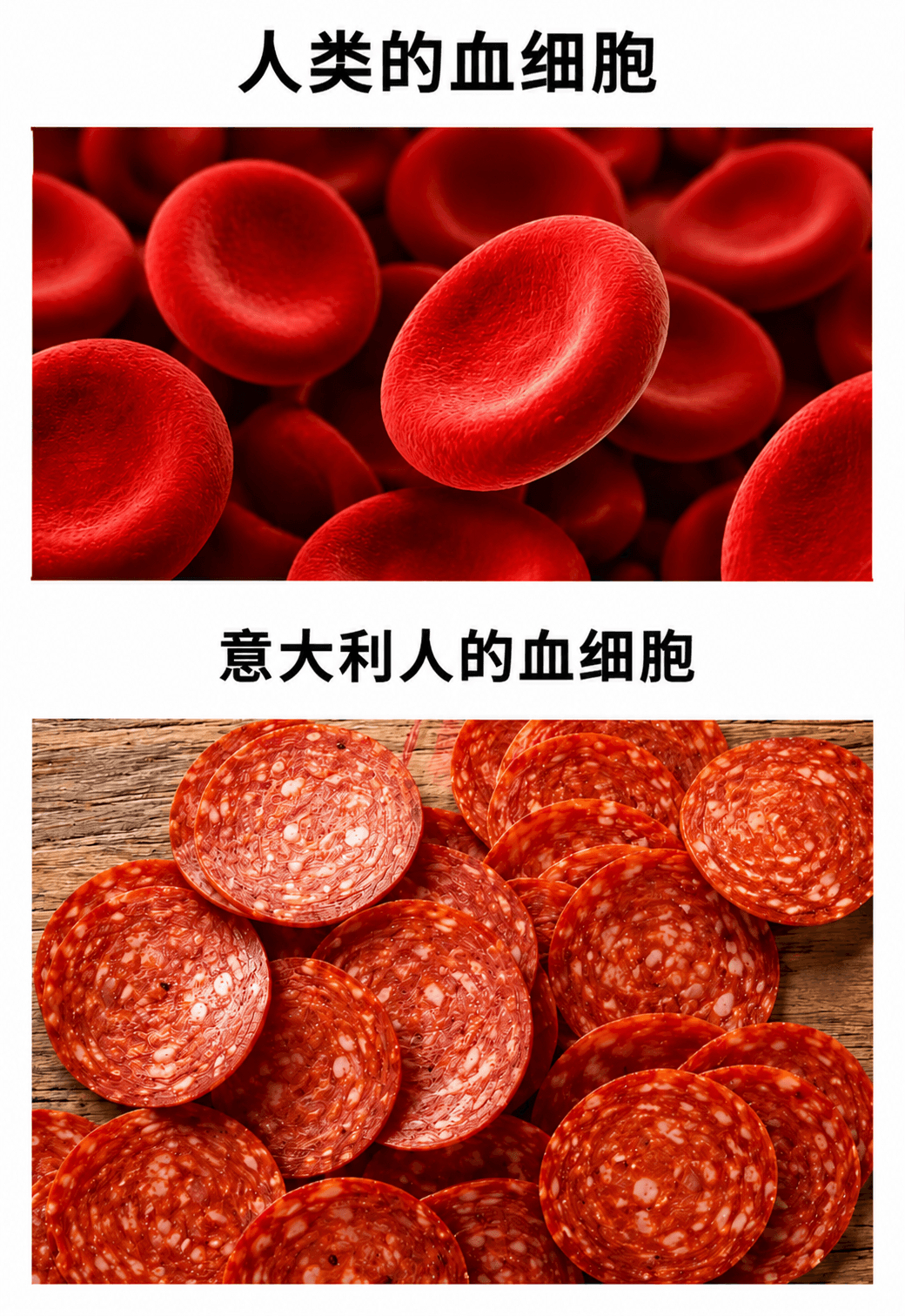 人类的血细胞意大利人的血细胞