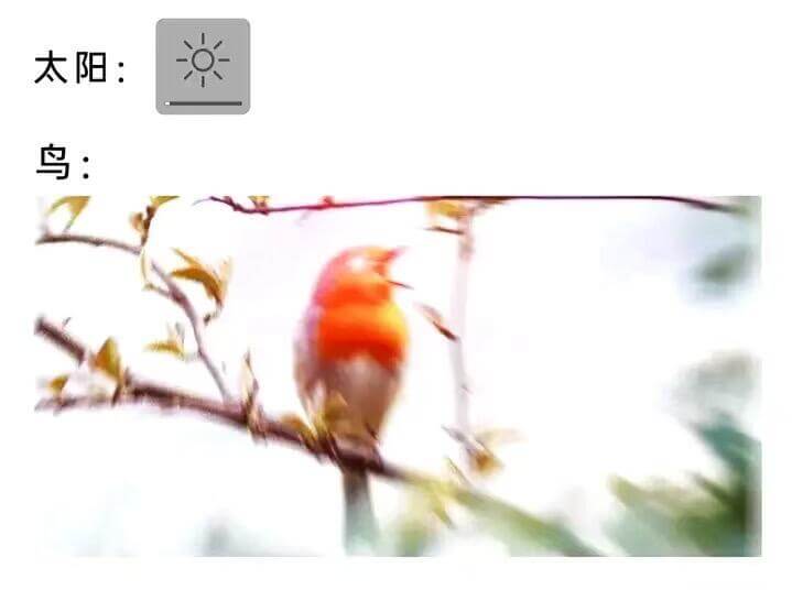 太阳：鸟：