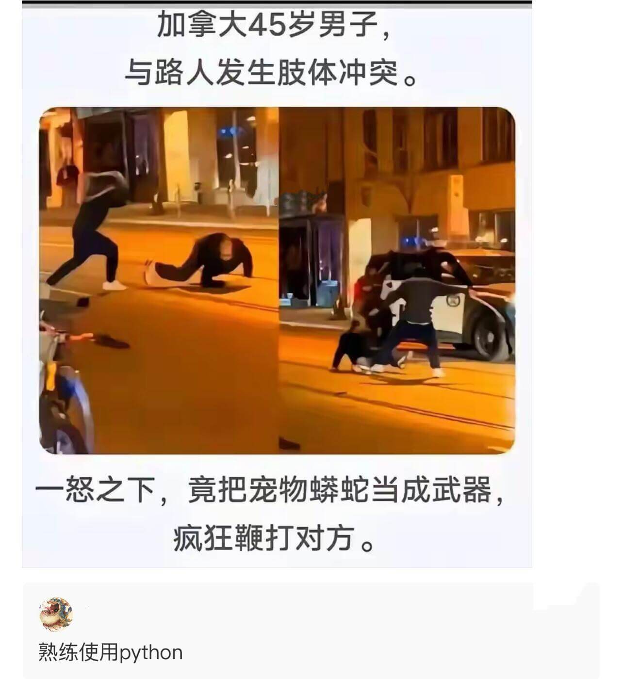 加拿大45岁男子，与路人发生肢体冲突。一怒之下，竟把宠物蟒蛇