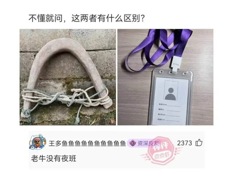 不懂就问，这两者有什么区别？2373王多鱼资深皮友神评老牛没