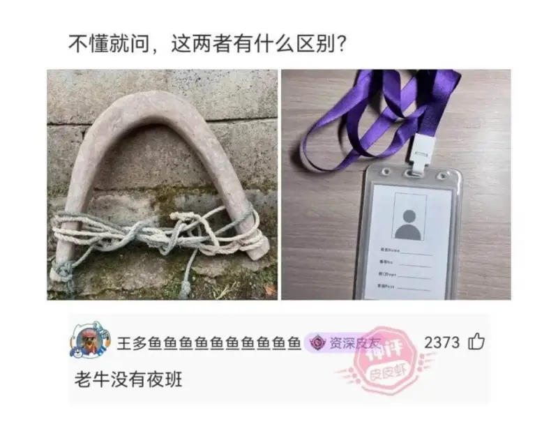 不懂就问，这两者有什么区别？2373王多鱼资深皮友神评老牛没