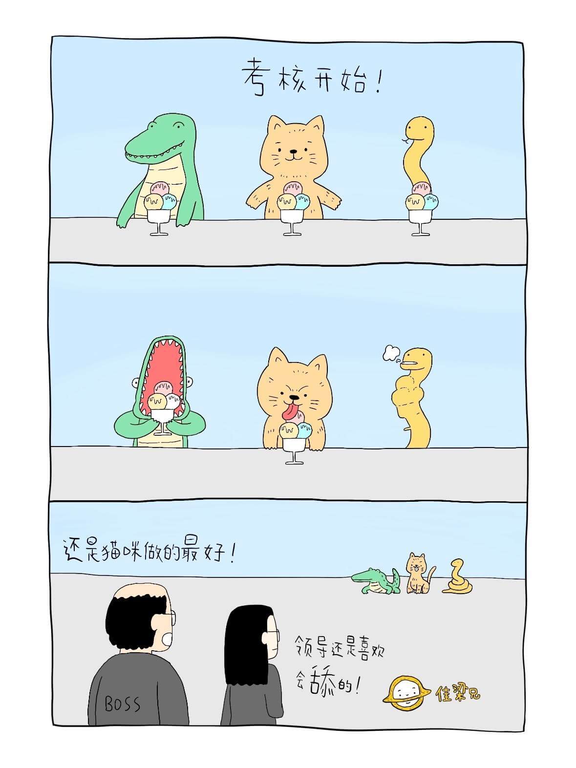 考核开始！还是猫咪做的最好！领导还是喜欢的，佳梁兄！BoSS