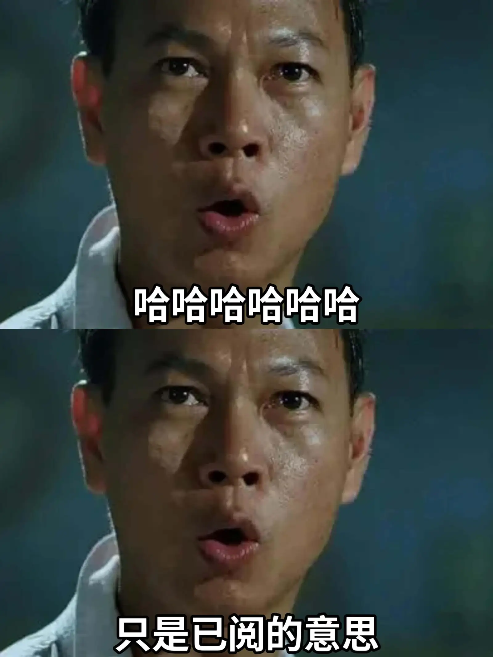 哈哈哈哈哈哈只是已阅的意思