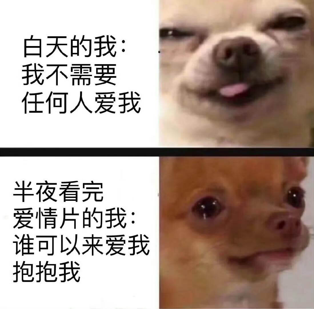 白天的我：我不需要任何人爱我半夜看完爱情片的我：谁可以来爱我