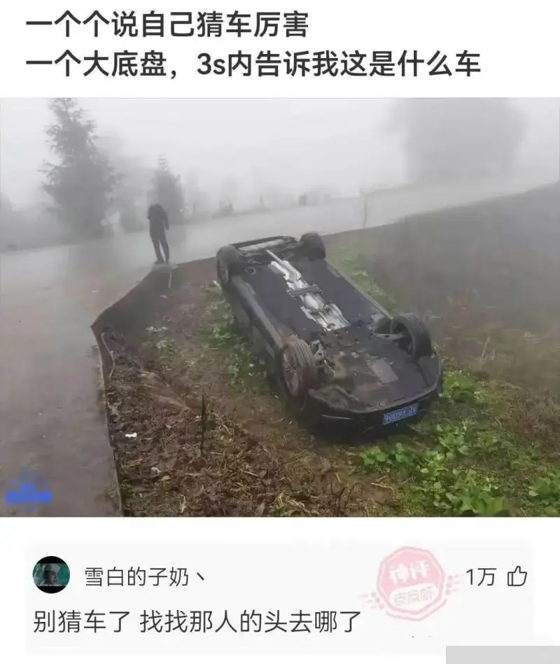 一个个说自己猜车厉害一个大底盘，3s内告诉我这是什么车雪白的